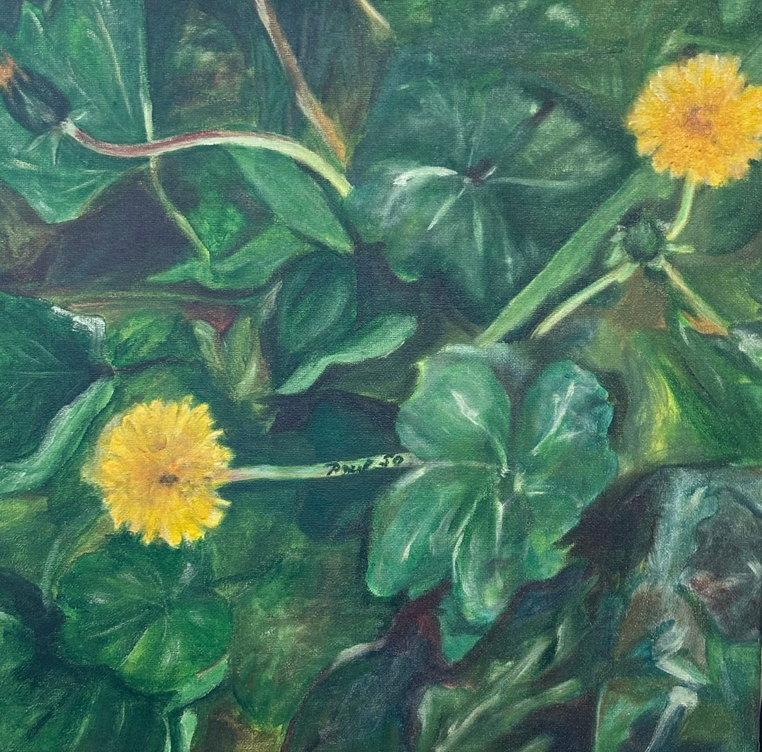 SOLGT. Mælkebøtter 30x40 cm