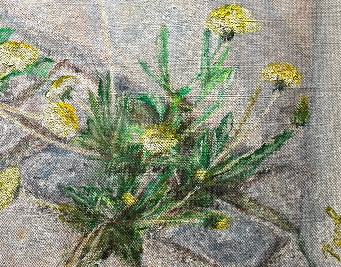 Solgt. Mælkebøtter1