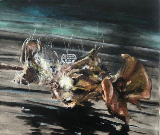 Gammelt muggent Skrog. 50 x 60